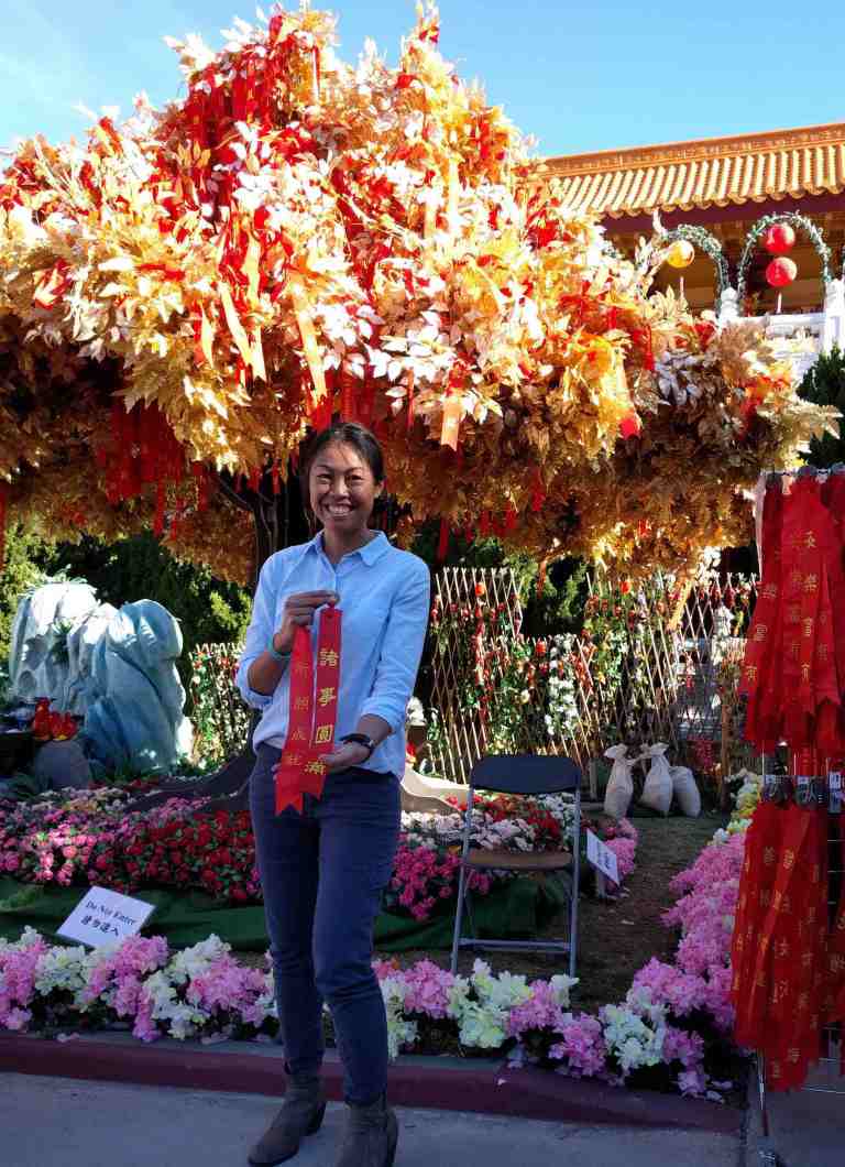 2017-01-30-10-25-58_lr