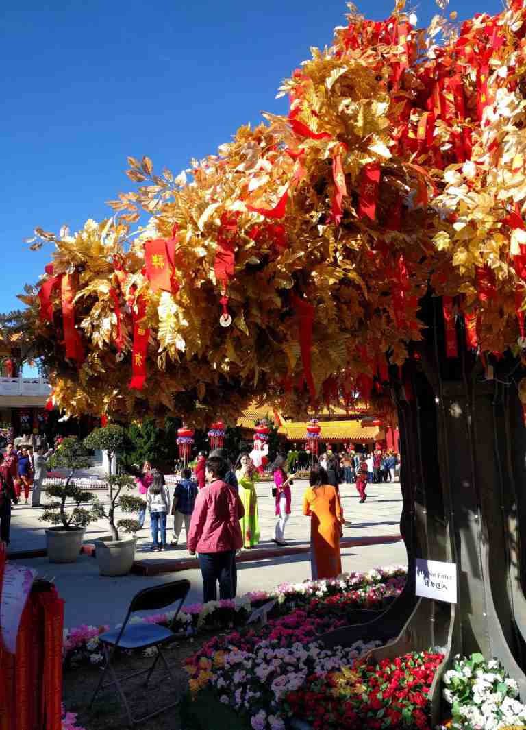 2017-01-30-10-28-01_lr