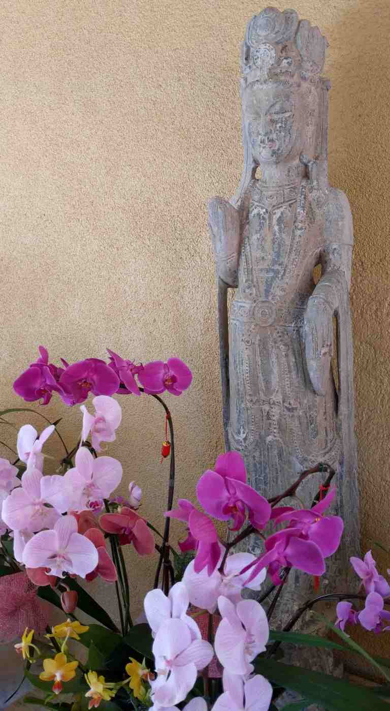 2017-01-30-10-37-00_lr