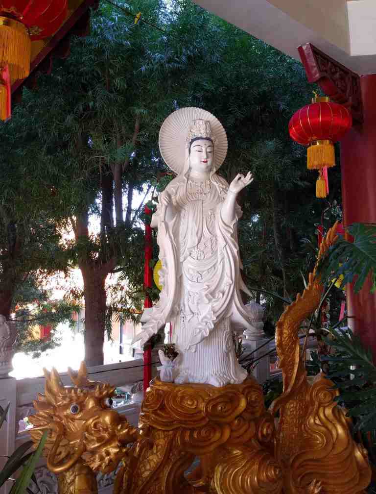 2017-01-30-11-12-18_lr