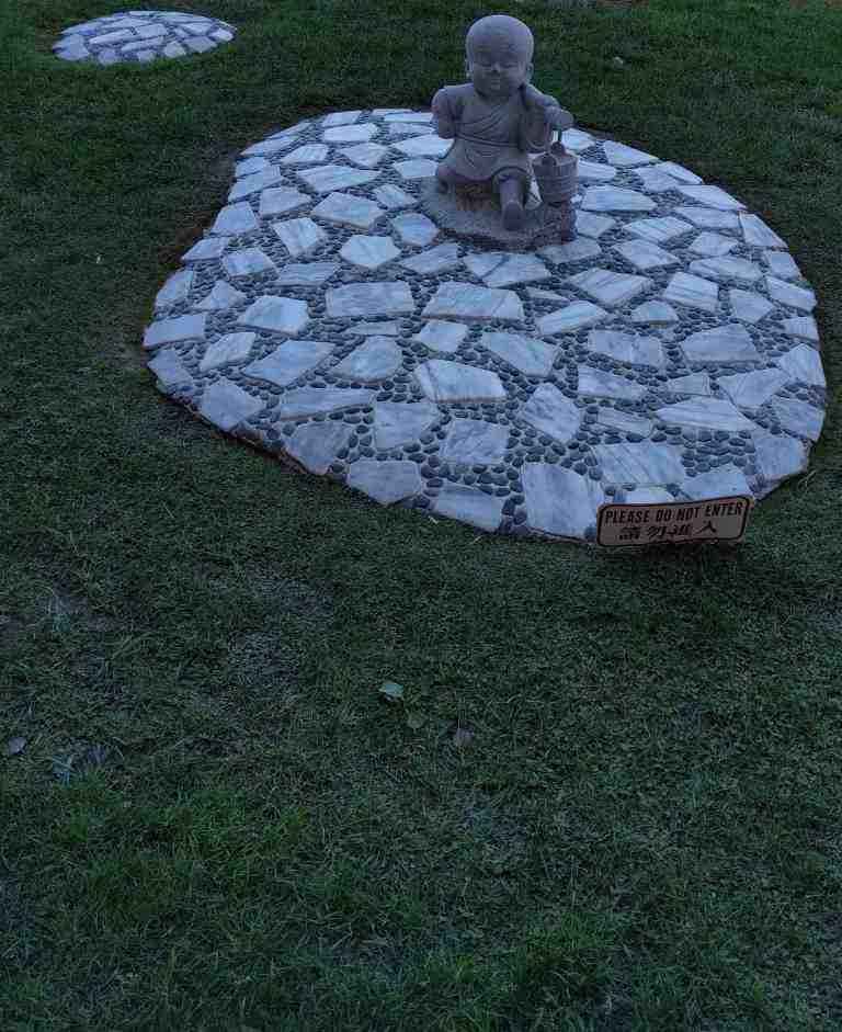 2017-01-30-11-24-03_lr