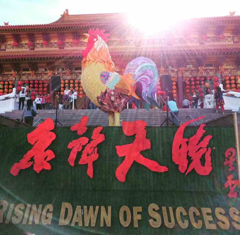 2017-01-30_104618_596_ig_lr