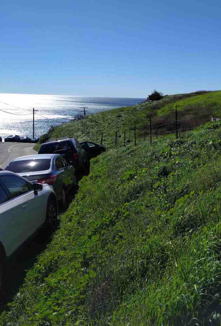 2017-02-12-13-22-21_lr