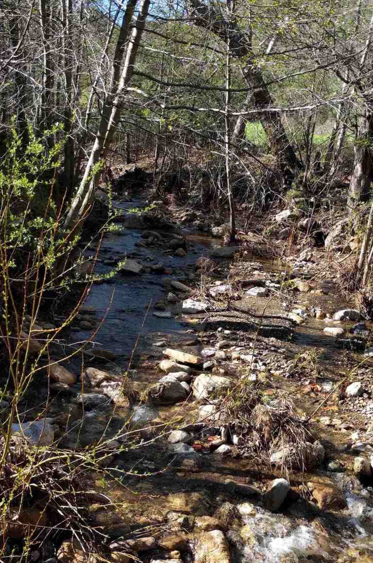 2017-02-12-13-38-34_lr