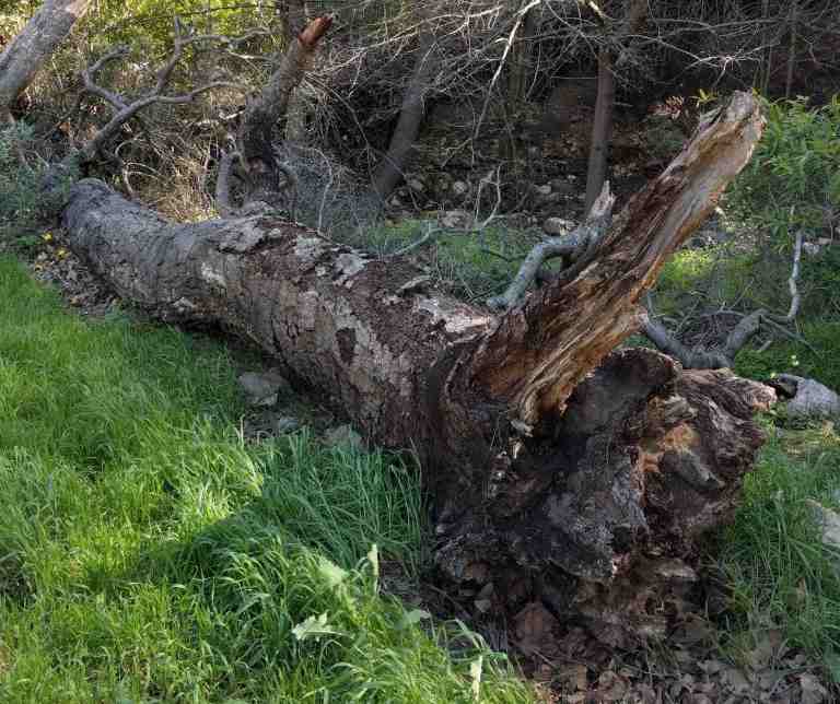 2017-02-12-13-45-27_lr