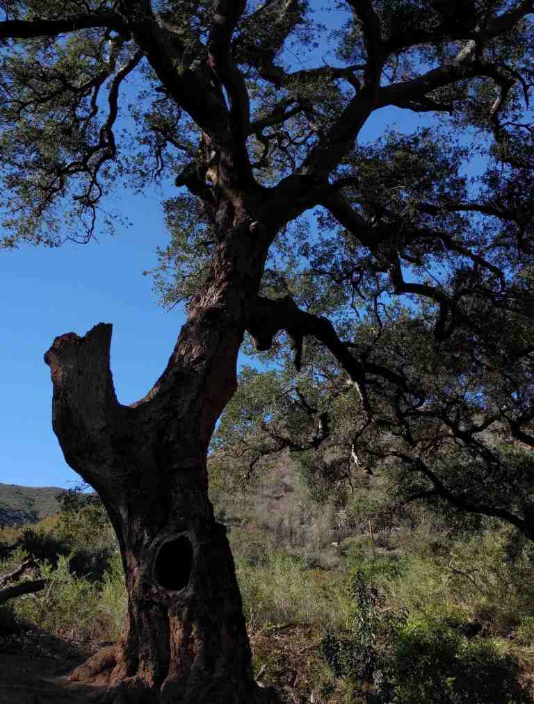 2017-02-12-14-32-52_lr