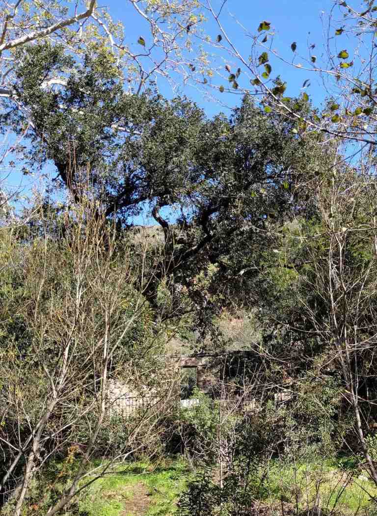 2017-02-12-14-34-15_lr