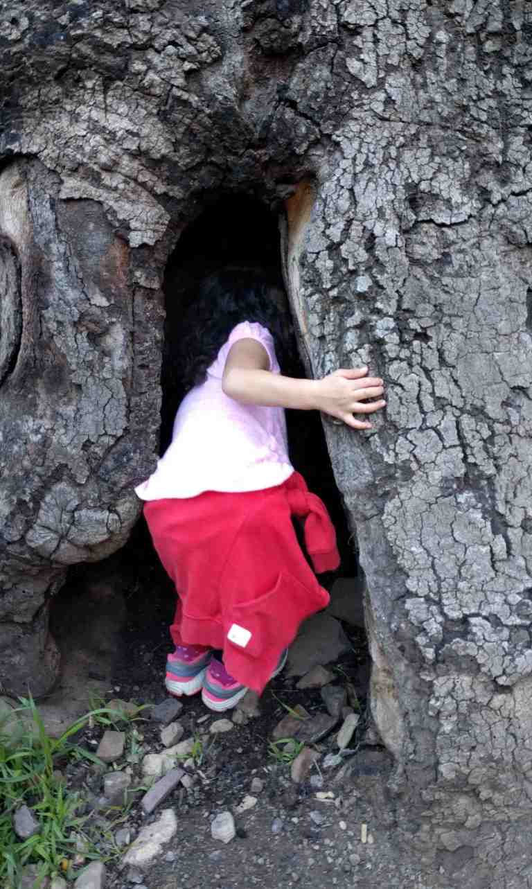 2017-02-12-14-44-17_lr