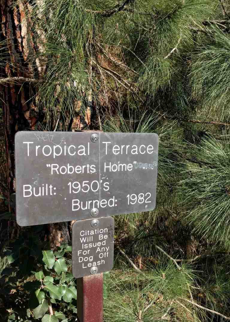 2017-02-12-14-56-03_lr