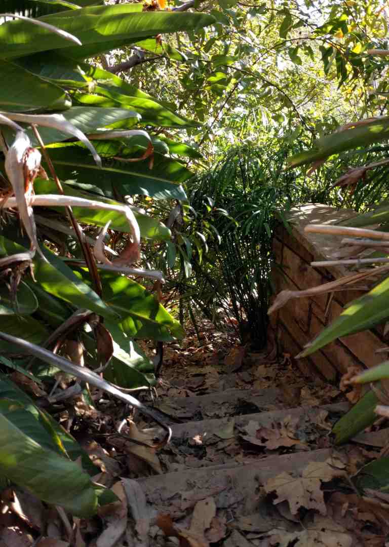 2017-02-12-14-59-32_lr