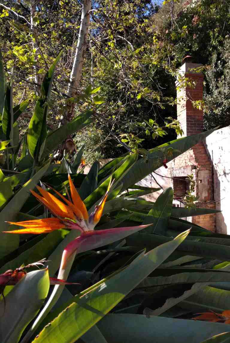 2017-02-12-15-00-01_lr