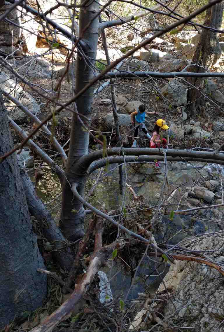 2017-02-12-15-26-48_lr