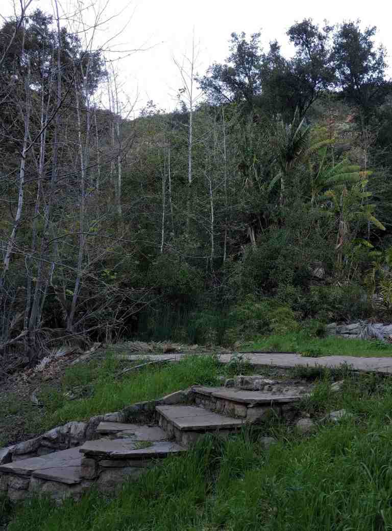 2017-02-12-15-45-57_lr