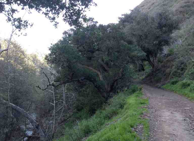 2017-02-12-15-51-14_lr