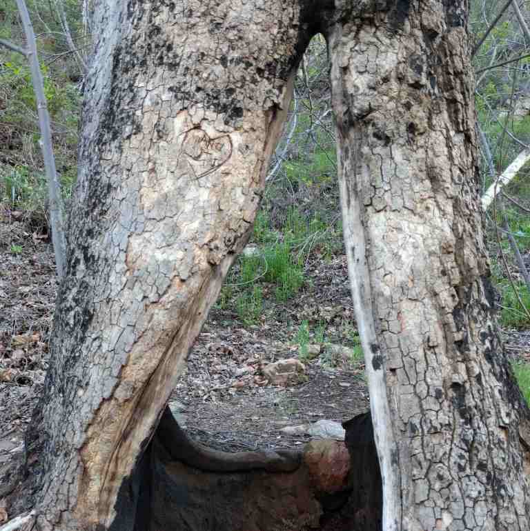 2017-02-12-16-00-07_lr