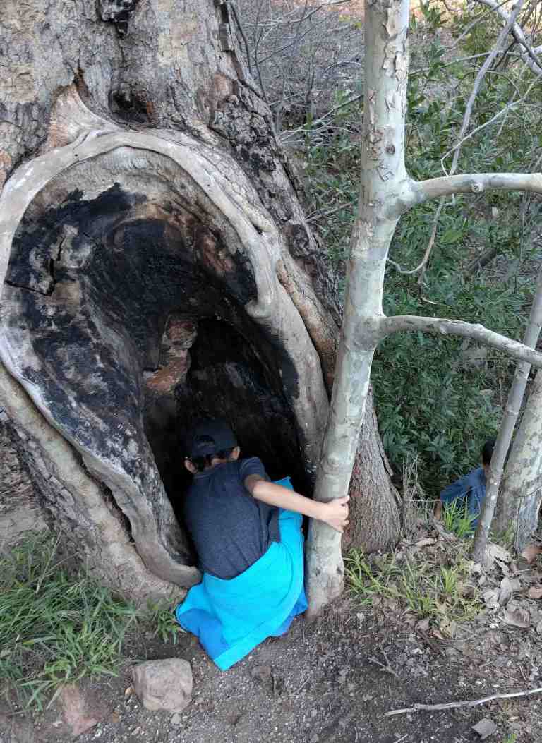 2017-02-12-16-03-15_lr