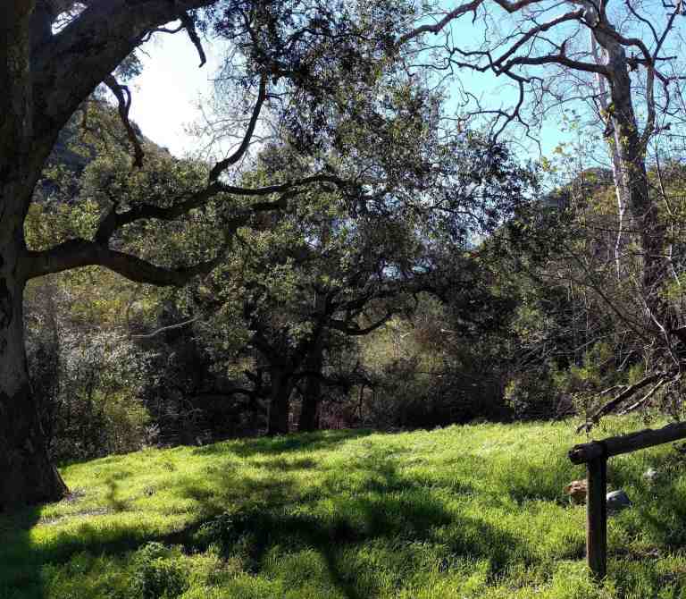 2017-02-12_171213_576_ig_lr