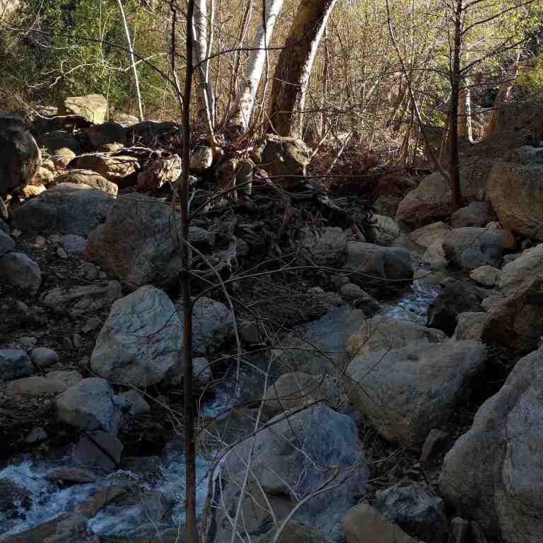 2017-02-12_173044_213_ig_lr