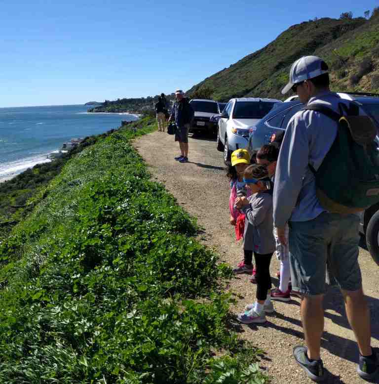 2017-02-12_174520_361_ig_lr