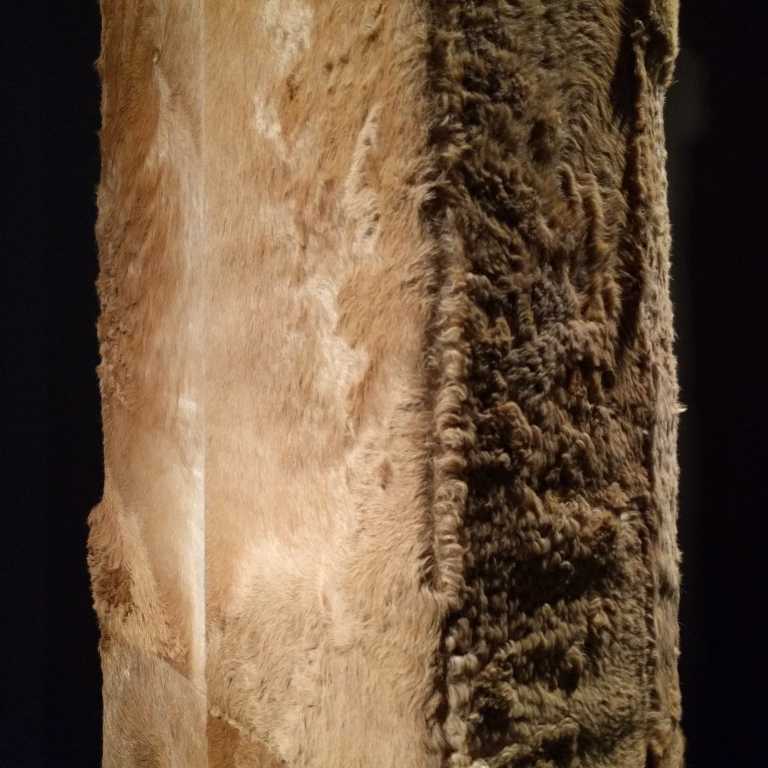 2017-03-30_142058_109_IG_lr